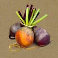 Beets