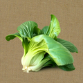 Bok Choy