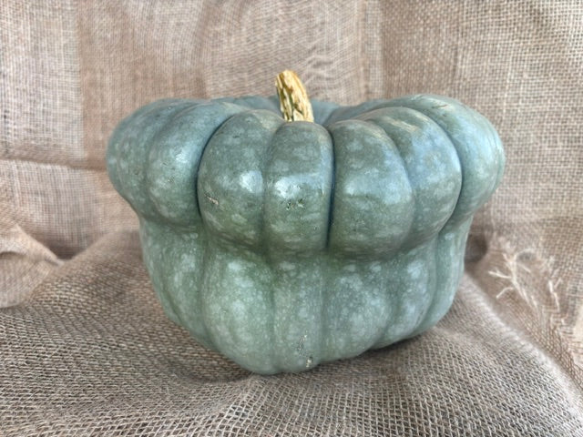 Jarrahdale Pumpkin