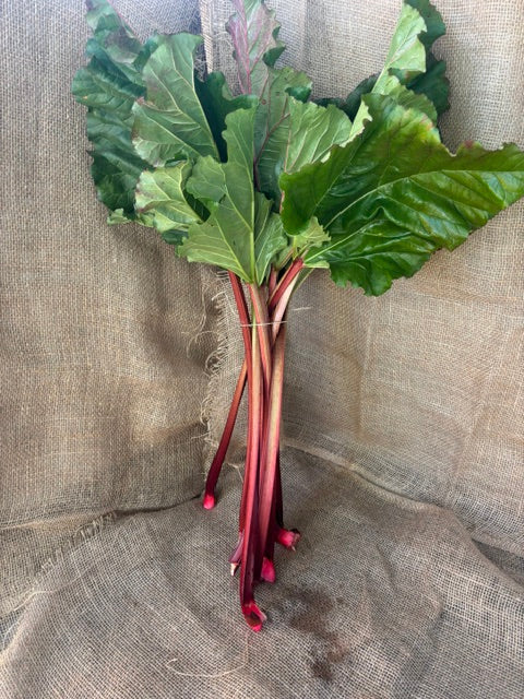 Rhubarb