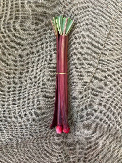 Rhubarb
