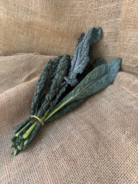 Lacinato Kale